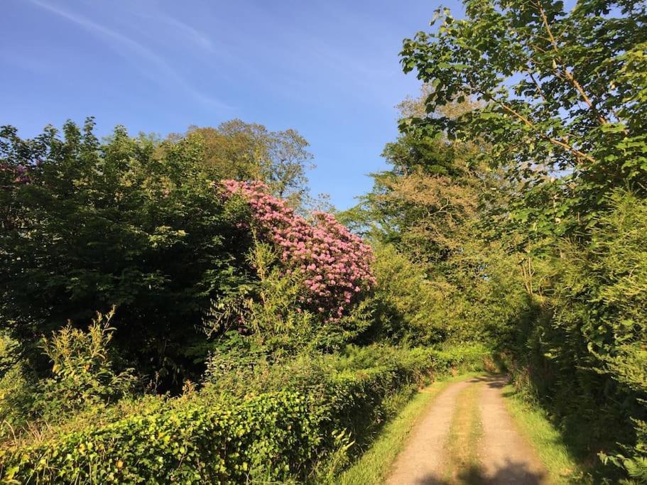 Tranquil Getaway Near Brecon Beacons Apartment Llandovery Ngoại thất bức ảnh